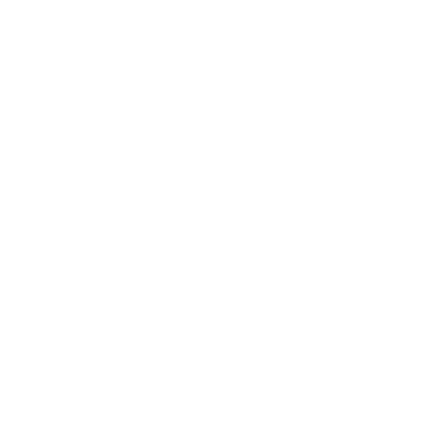 Zongshen